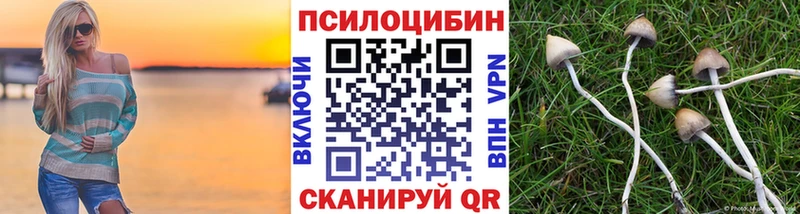 Псилоцибиновые грибы мицелий OMG рабочий сайт Шахты