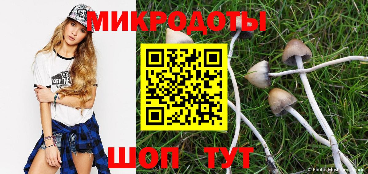 Шахты  Галлюциногенные грибы GOLDEN TEACHER  Вход с VPN 