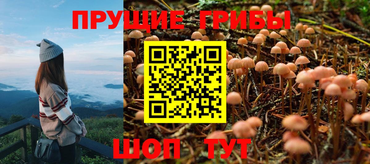 Галлюциногенные грибы мухоморы Шахты